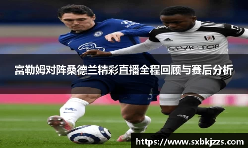 beats365富勒姆对阵桑德兰精彩直播全程回顾与赛后分析